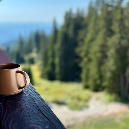 Апартамент Forest Light Пампорово