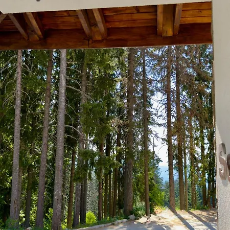 Forest Light * פמפורובו