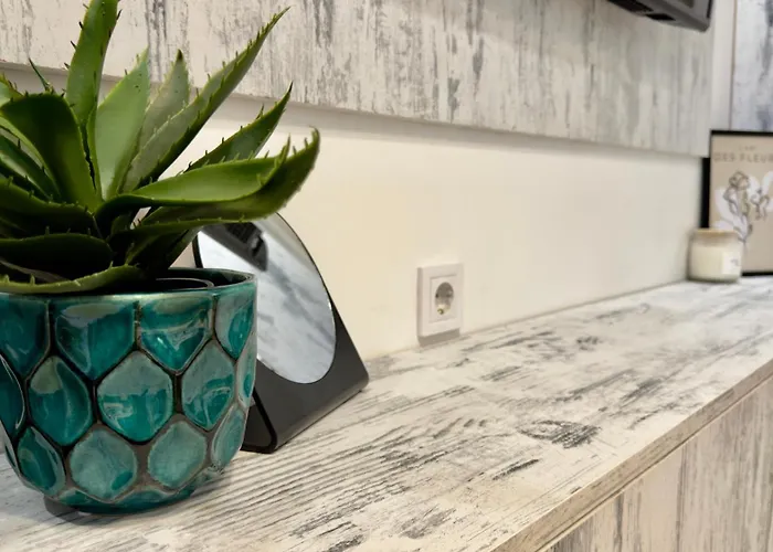 Forest Light * פמפורובו