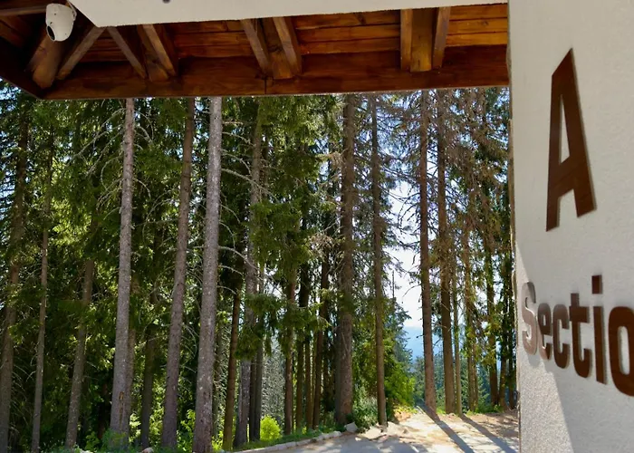 Forest Light * פמפורובו