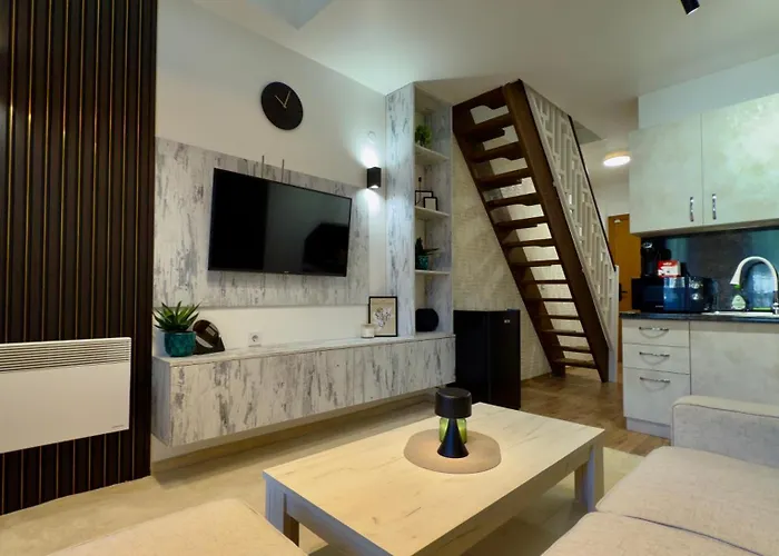 Forest Light פמפורובו